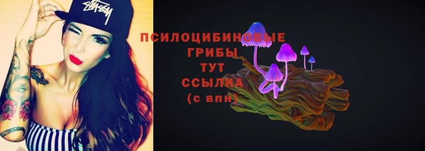 PSILOCYBIN Абаза