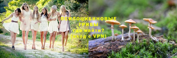 бошки Алзамай