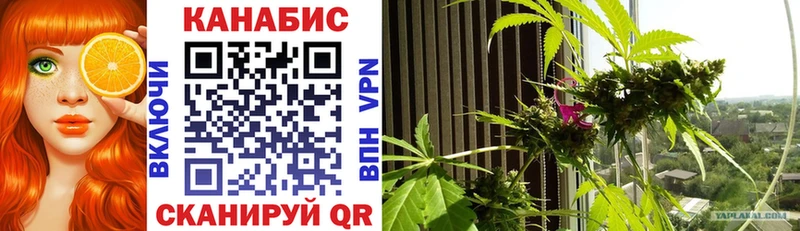 Канабис SATIVA & INDICA Циолковский